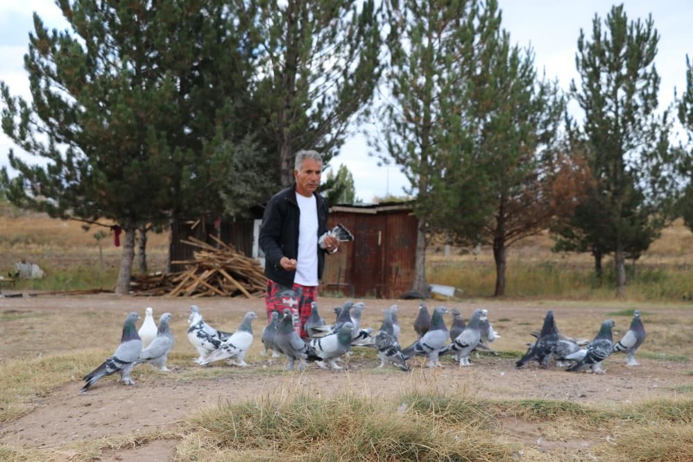 Bu kuşların tanesi 600 bin TL Bu kuşların tanesi 600 bin TL