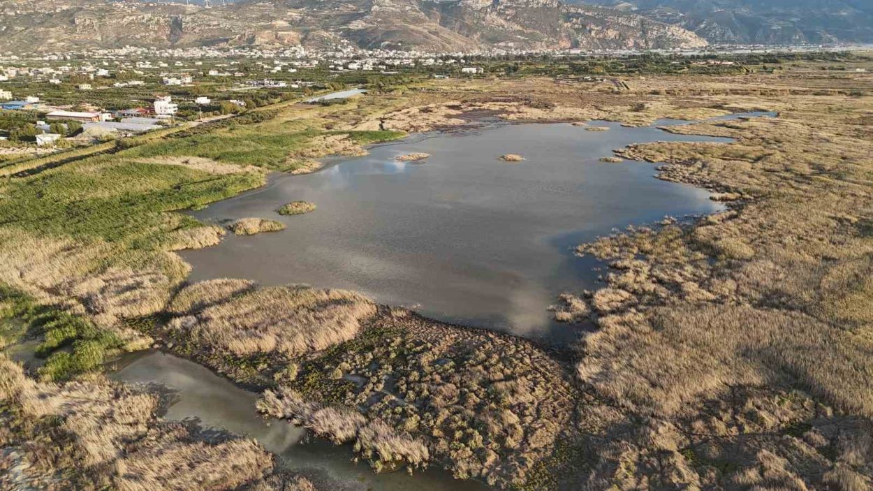 Kuraklığın etkisiyle çölü aratmaz hale gelen Milleyha’da yağışlarla birlikte kuşların sesleri yankılanmaya başladı Kuraklığın etkisiyle çölü aratmaz hale gelen Milleyha’da yağışlarla birlikte kuşların sesleri yankılanmaya başladı